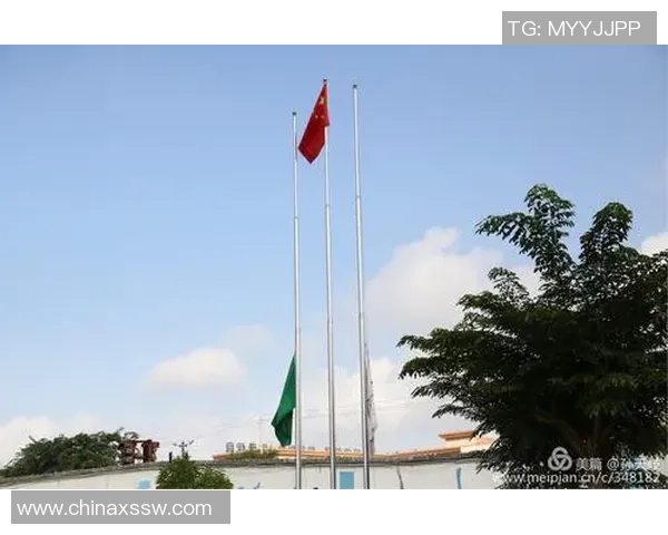 绿茵场上以球星背影映射诉说激情与梦想的独特光影瞬间